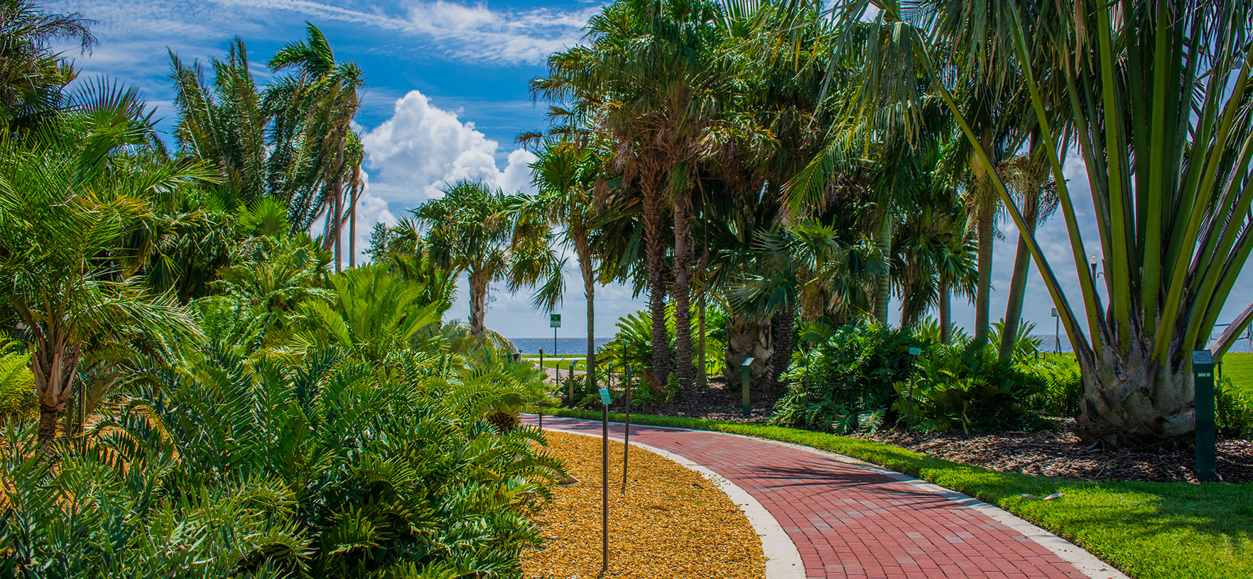 Gizella Kopsick Palm Arboretum Path