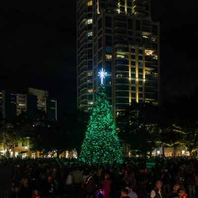 Tree lit for the holidays